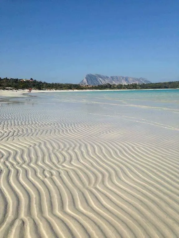 بيت للعطل Sa Pedra Romantica سان تيودورو